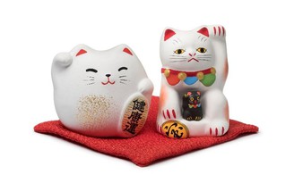 Yêu mèo - nét văn hóa độc đáo của người Nhật