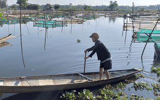 Thừa Thiên - Huế: Nuôi cá lồng vượt kiểm soát