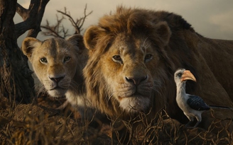 'Vua sư tử' bản live action 'ngã ngựa' trên đường đua Oscar 2020