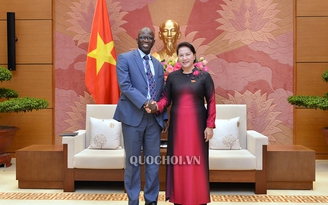 Việt Nam có thể trở thành hình mẫu cho các quốc gia đang phát triển