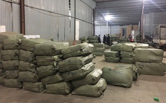 Bắt hơn 100 tấn dược liệu Trung Quốc 'đội lốt' hoa quả khô