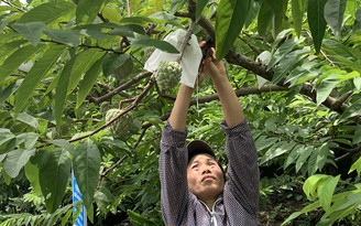 Kéo vùng 'phên giậu' của đất nước phát triển