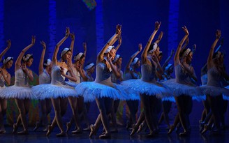 Siêu phẩm ballet 'Hồ Thiên nga' diễn ở sân khấu ngoài trời