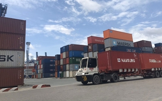 Dừng làm thủ tục hải quan trên toàn quốc với 4 doanh nghiệp