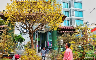 Chợ hoa Tết Sài Gòn ngày 30 Tết: Người bán buồn thiu chở hoa về…