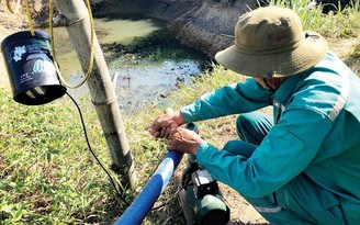 Quảng Ngãi: Gần 3.000 ha lúa bị các loại sâu bệnh gây hại