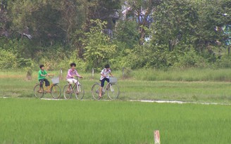 TP.HCM sẽ chuyển đổi công năng hàng ngàn héc ta đất lúa