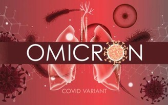 Biến thể Omicron có thể xuất hiện tại Anh trước khi Nam Phi công bố?