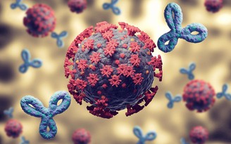 Chuyên gia về vi rút: Người nhiễm Covid-19 trong 6 tháng được bảo vệ trước Omicron