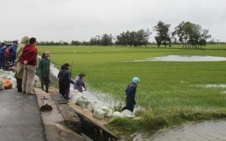 Ngổn ngang sau lũ trái mùa