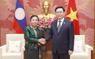 Đưa quan hệ hợp tác kinh tế tương xứng với quan hệ chính trị tốt đẹp Việt Nam - Lào