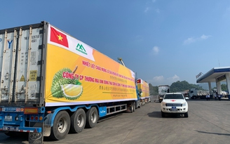 Nông sản Việt xuất qua Trung Quốc nhiều nhất