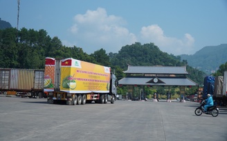Cơ hội lớn từ xuất khẩu sầu riêng chính ngạch sang Trung Quốc