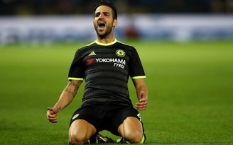 Cesc Fabregas - Mảnh ghép hoàn hảo cho M.U