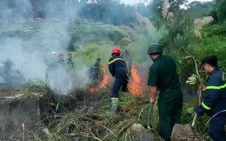 Đà Nẵng: Nhậu rồi hút thuốc, vứt tàn gây cháy ở bán đảo Sơn Trà