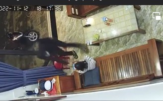 Đà Nẵng: Bắt khẩn cấp nghi phạm táo tợn xông vào nhà cướp giật iPhone trên tay bé gái