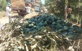 Thèm được nhìn 'xe lớn'