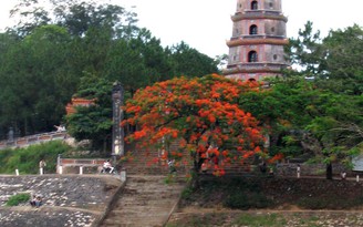 Nhớ tiếng chuông thanh thoát hương lành