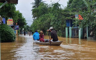 Thương lắm Túy Loan