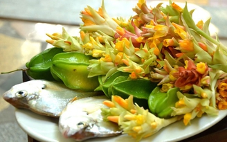 Bông giờ trong mùa bão giông