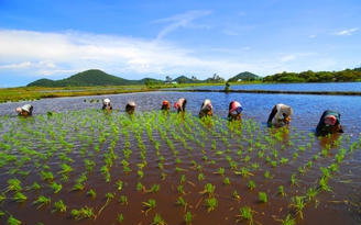 Người miền Tây...