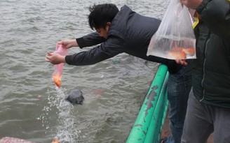 Người Hà Nội thả cá tiễn ông Táo trong mưa rét