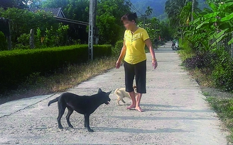 Chết do chữa chó cắn bằng thuốc nam