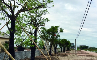 Biến bãi rác thành công viên