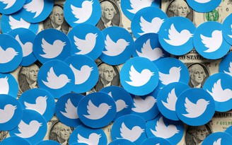 Twitter bắt đầu thu 8 USD/tháng để cấp tick xanh