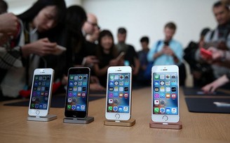iPhone SE 'ảm đạm' tại Việt Nam, iPhone 5S/6 cũ 'đứng vững'