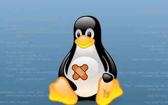 Phát hiện lỗ hổng trong nhân Linux tồn tại hơn 7 năm