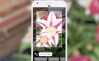 Một số điều cần biết về trí tuệ nhân tạo Google Lens vừa ra mắt