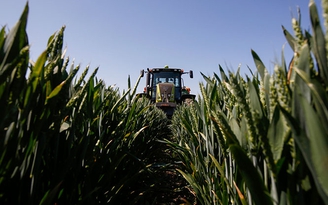 Monsanto đặt cược vào trí tuệ nhân tạo để bảo vệ cây trồng