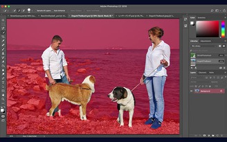 Adobe đang muốn đưa trí tuệ nhân tạo vào Photoshop