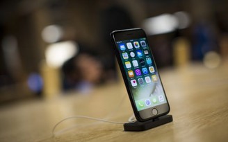 Apple sửa chữa miễn phí iPhone 7 gặp lỗi 'No Service'