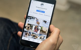 Instagram bổ sung tính năng gọi video như Messenger