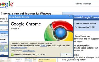 Trình duyệt Google Chrome tròn 10 năm tuổi