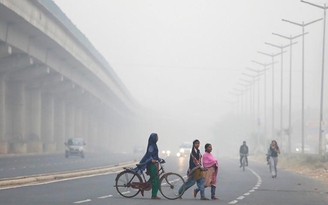 Toxic trở thành từ phổ biến nhất trong năm 2018