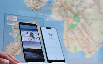 Android Q sẽ có tính năng cứu người dành riêng cho điện thoại Pixel