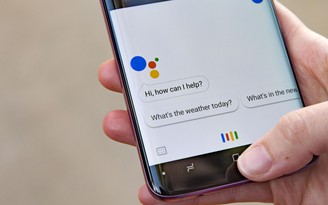 Bị phản ứng, Google tạm ngừng 'dạy dỗ' trợ lý ảo tại châu Âu