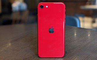 Liệu Apple có để iPhone SE 'cướp' doanh số iPhone 11?