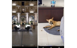 Google Photos thêm nút tắt tiếng trong trình phát video