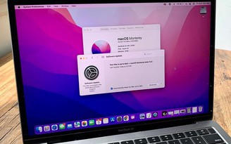 macOS Monterey khiến nhiều máy Mac cũ gặp sự cố