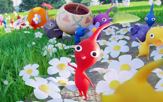 Pikmin Bloom đã xác định ngày cộng đồng đầu tiên diễn ra vào ngày 13.11