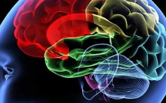 Nghiên cứu khoa học vô tình ghi nhận não của một người sắp chết nghĩ gì