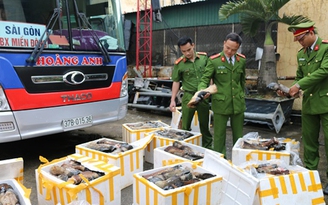 Bắt hơn 1 tấn chân, đuôi trâu bò thối đang trên đường đi tiêu thụ