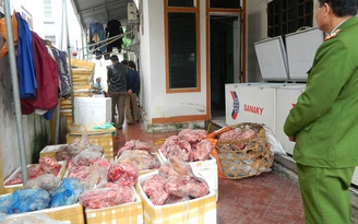 Cơ sở đông lạnh trữ hơn 1,2 tấn thịt động vật bẩn chờ bán dịp Tết