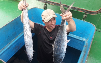 Một tàu cá Hà Tĩnh trúng hơn 2 tấn cá thu