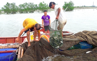 Người dân Hà Tĩnh di dời hàng chục tấn cá lồng bè tránh bão số 2