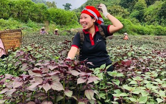 Năm 2050 Việt Nam vào TOP 10 nền nông nghiệp xanh, hiện đại nhất thế giới